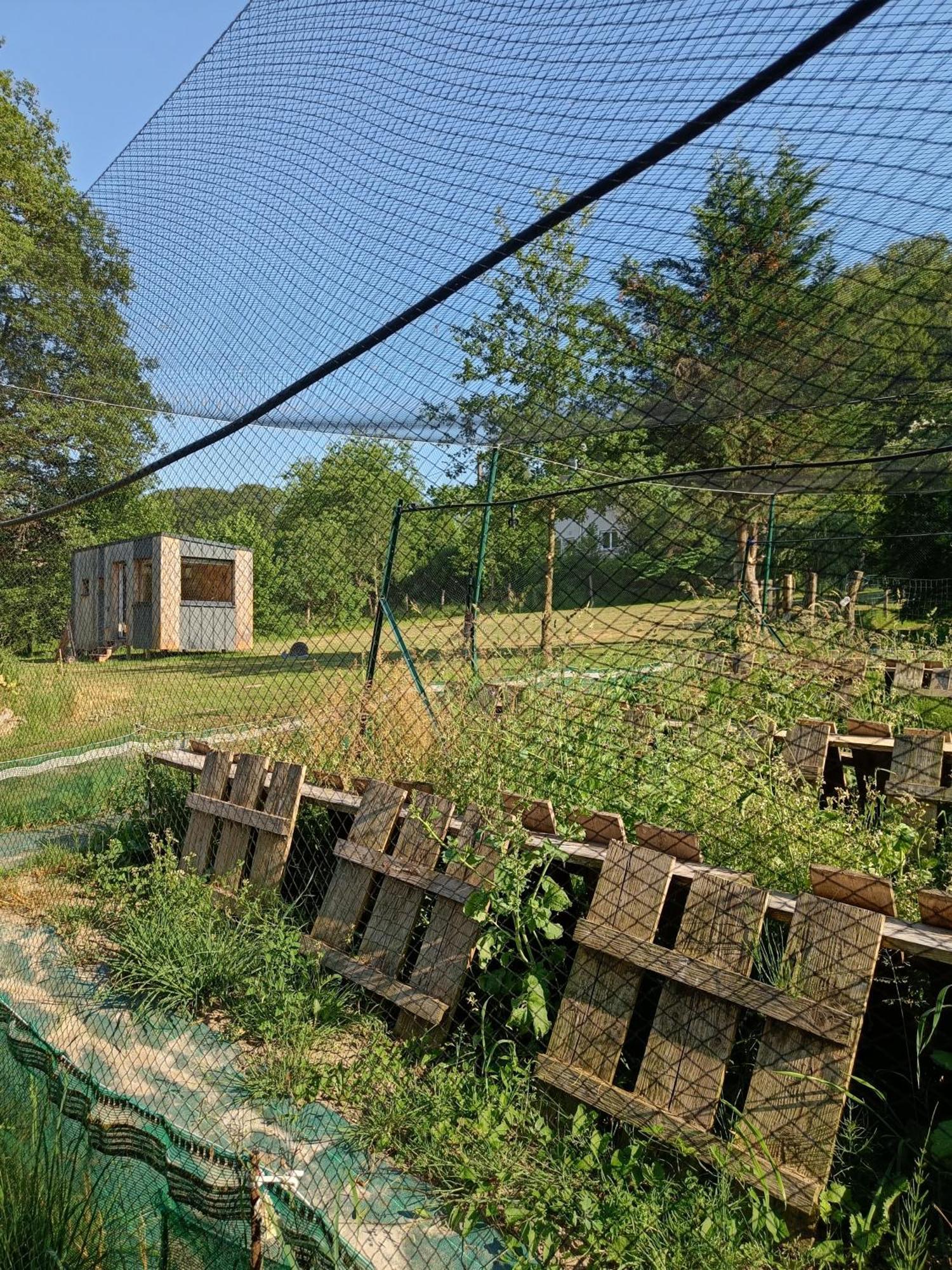 L'Escargoterie De La Forge - Immersion Champetre Uzemain Exterior foto